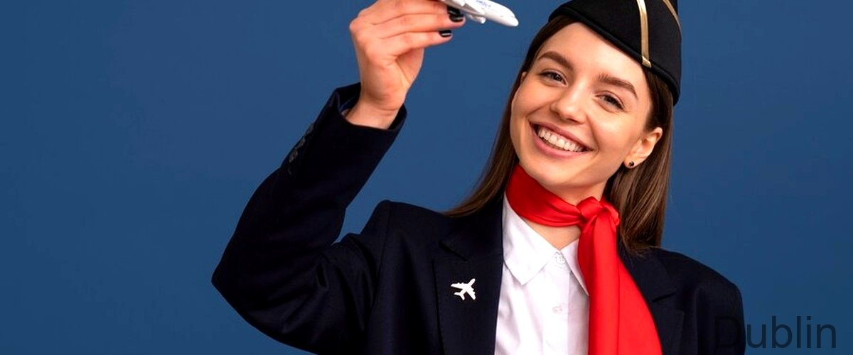 FLIGHT SCHOOL INFORMATION visual data 3