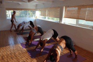 Ashtanga Yoga Ireland