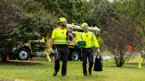 Bartlett Tree Experts