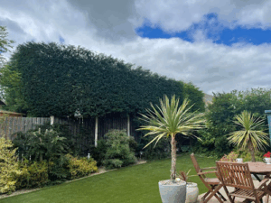 Cara Gardening & Landscaping
