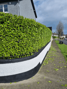 Complete Care Home Improvements