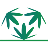 Dr. Hemp Me