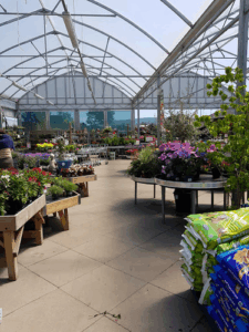 Easy Garden