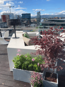Grasshopper Services North Dublin