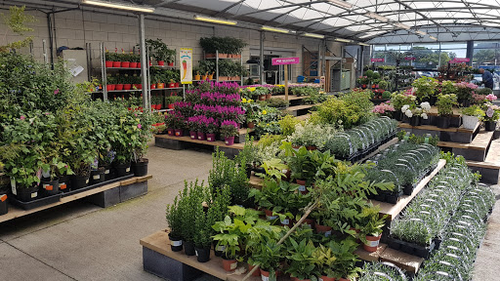 Homebase