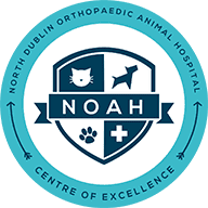 Noah