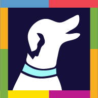 Positive Dog Training