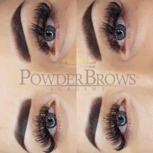 PowderBrows Academy