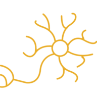 Regenecare