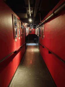 Temple Lane Studios