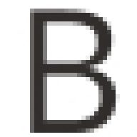 The Brow Studio