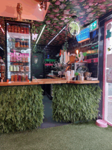 The Jungle