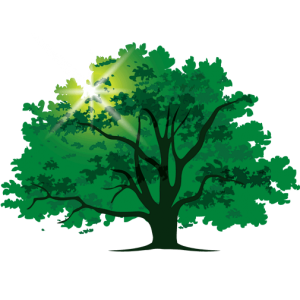 Treeworks